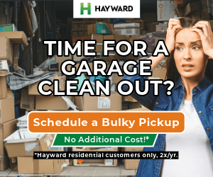 GOOGLE-ad-3-3-1-Medium-Rectangle-300×250 (1) google ad crazy lady