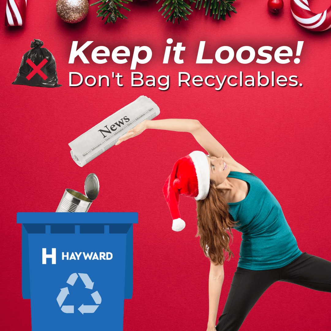 ejf recycling