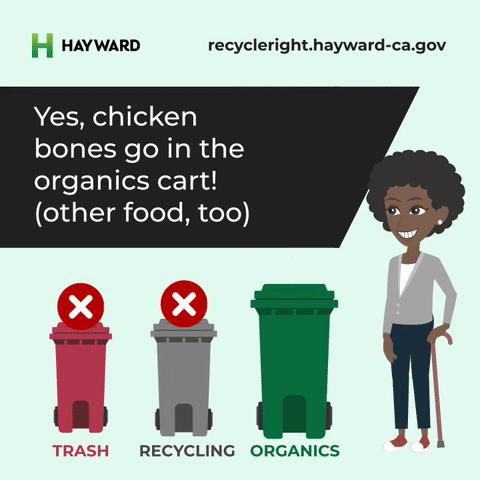 SOCIAL – INSTA – Chicken Bones-480p-220830